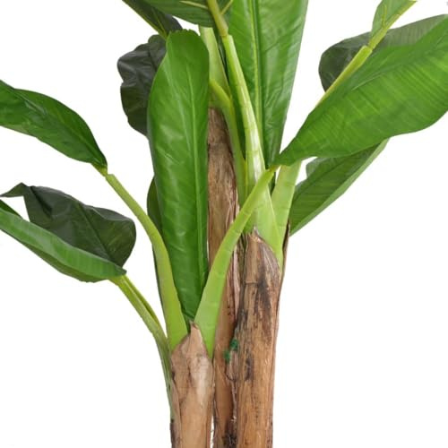 Generico Albero Banana Artificiale con Vaso 175 cm Verde,Casa e Giardino,Arredo,Flora Artificiale,Verde,13.7 kg,244455