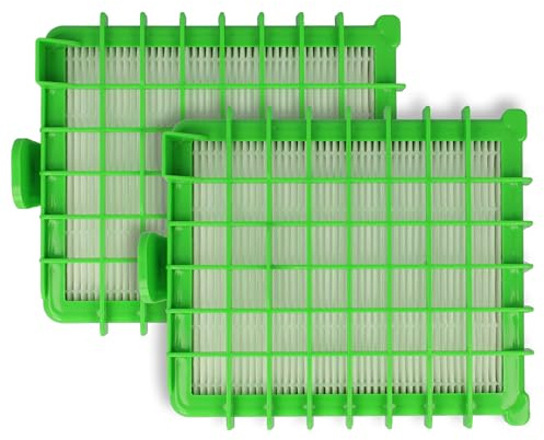 vhbw 2x filtre compatible avec Rowenta RO384111/410, RO384511/410, RO385301/410 aspirateur - Filtre HEPA contre les allergies