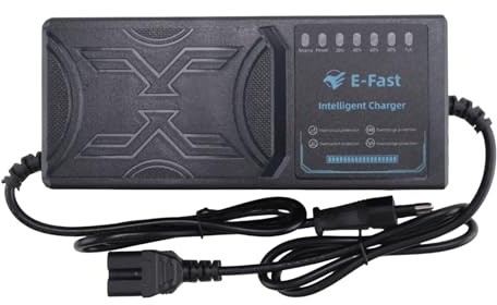 Solimery Cargador de VehíCulo EléCtrico de 48 V y 20 Ah, Pantalla de 7 Luces, Pantalla de AlimentacióN, ProteccióN Fugas de Corriente/Pulso Completo, Enchufe de la UE