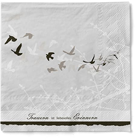 Sovie Home Lot de 20 Serviettes de Table en Tissu éponge Absorbant et de Grande qualité Gris 33 x 33 cm