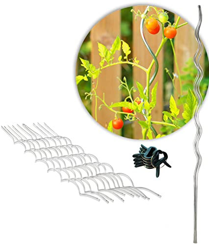 Novatool 10x Tomatenspiralstab 110 cm und 20x Pflanzensicherung I Pflanzenbefestigungen Stab Tomatenrankhilfe für Topf Gewächshaus I Metall verzinkt stabil Pflanzstab Tomate Pflanzenklammer