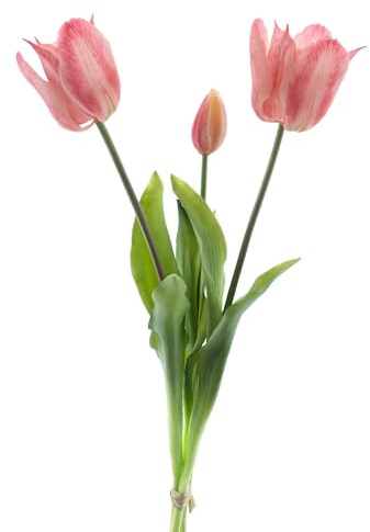 mucplants künstliche offene Tulpen 48cm Open Tulpenbündel mit 2 Tulpen und 1 Tulpenknospe real Touch (Rosa)
