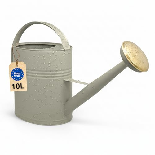 LIVLIG Annaffiatoio 10 Litri Metallo – Giardino Grande con Pomello Removibile in Ottone, Design Vintage, Verde