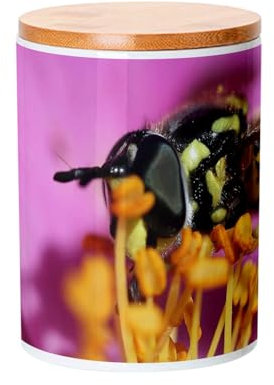 Keramiktopf mit Deckel Bambus - Wespe auf Blumenstampfen gelb und rosa Natur Tiere - 739 ml (25 oz) - Topf
