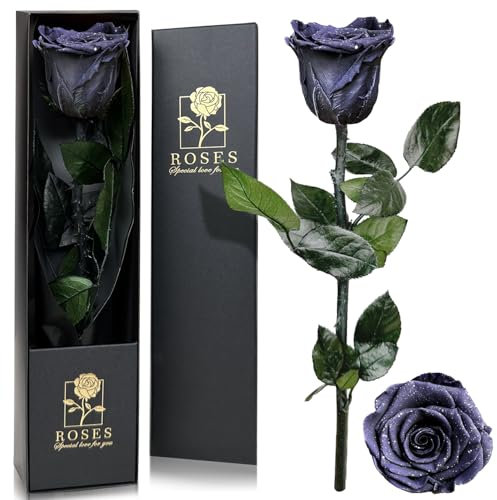 Infinity Rose in Geschenkbox, Ewige Rose mit Stiel Geschenke für Frauen Echte Rosen Eine Konservierte Blume für Mama Damen Freundin zum Geburtstag Valentinstag Weihnachten Muttertag-Traumsternenhimmel