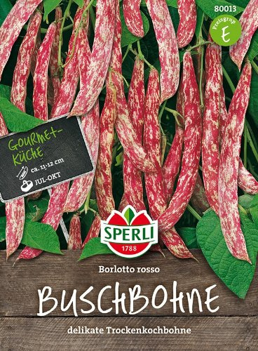 Buschbohne Borlotto rosso