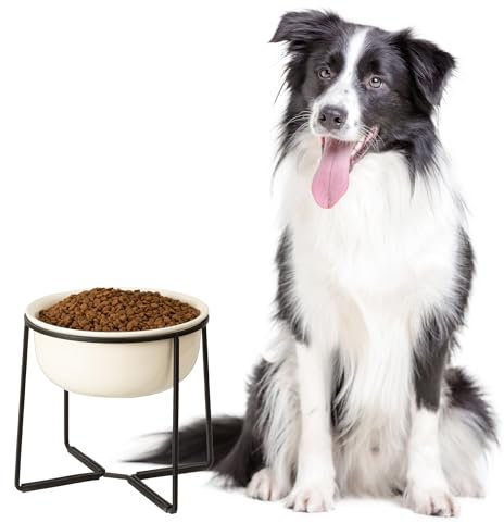Elevated Ceramic Dog Bowl - Raised Feeding Dish With Non-Slip Metal Stand - Heavy Weighted Water Bowl for Medium and Large Dogs - 3.5 Cups, 54 oz - Beige