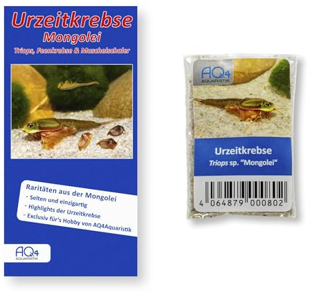 AQ4Aquaristik Triops sp. Mongolei - Urzeitkrebse Eier (Zuchtansatz) - mit Anleitung - TOP RARITÄT - Werden bis 13 cm groß