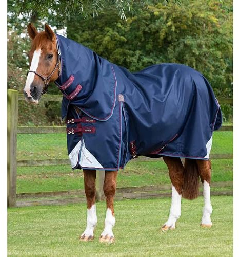 Premier Equine Outdoor-Decke für Pferde mit Halsabdeckung Akoni Stratus 0g