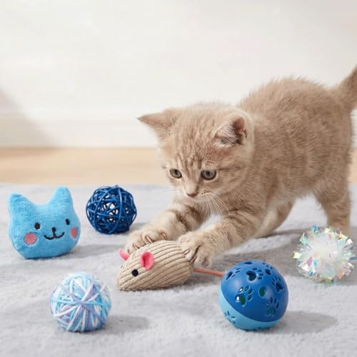 Speedy Panther 6 Pcs Cat Toy Set, Interactive Indoor Kitten Toys with Plush Mouse, Catnip Ball, Yarn Ball for Cats and Kittens