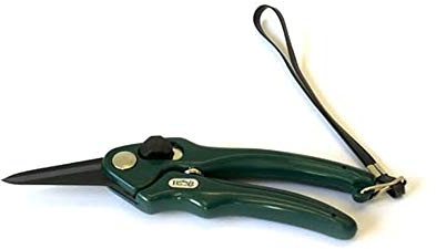 Burgon & Ball RHS Endorsed Florists' Shear, 19 cm Length