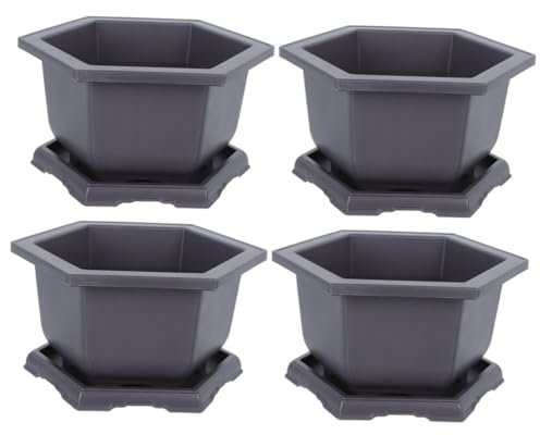 YARNOW 2 Set vaso da fiori esagonale fioriera per bonsai vaso di fiori con pallet pianta piante da appartamento vaso per piante con vassoi fioriera per piante grasse Antico