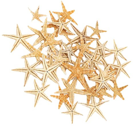 MUSISALY Umweltfreundliches Ornament Aus Zement – ​​mini-seestern Dekorativ Mini-landschaftsskulptur Heimdekor-Ornamente