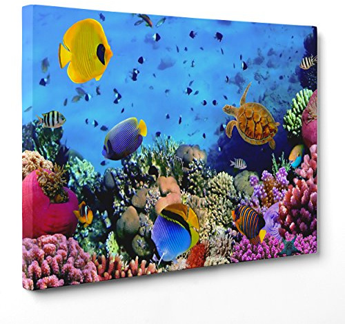 ConKrea Quadro su Tela Canvas - INTELAIATO - Pronto da Appendere - Fondale Marino - Coralli - Barriera Corallina - 50x70cm - Senza Cornice - (cod.1094)