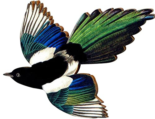 Broche oiseau mignon broches animaux broches en bois pour femmes hommes manteaux châle accessoires bijoux cadeaux vêtements revers broches B3v2, A-1PCS, Bois