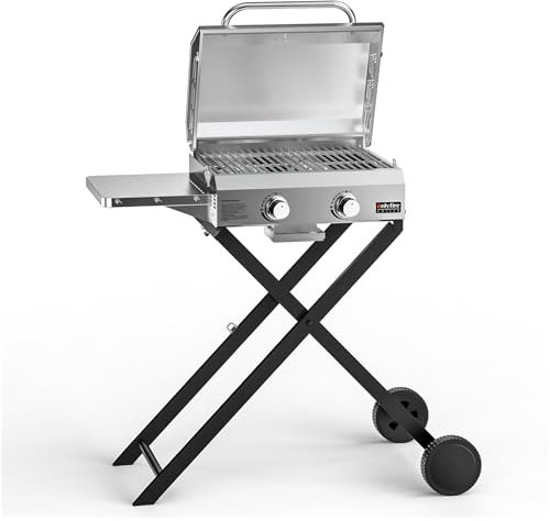 onlyfire 2-Brenner Gasgrill Klein aus Edelstahl 4,7 kW mit Faltbarem Wagen, Seitenablagen und Grillrost, Gartengrill, Outdoor Gasgrill für Balkon Camping