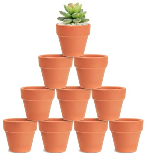 HDKAJL 10Pcs Small Terracotta Plant Pots, 3.5cm Mini Flower Pots,Small Ceramic Plant Pots with Drain Hole, Tiny Terracotta Pots for Cactus Succulent House Plants Flowers DIY Home Office Indoor Outdoor
