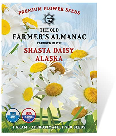 The Old Farmer's Almanac Daisy Seeds (Shasta Alaska) - Approx 700 Flower Seeds - Non-GMO, Premium, Open Pollinated