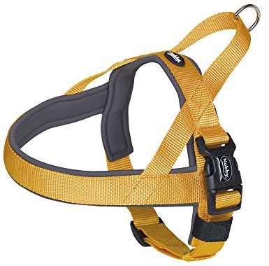 Nobby Norwegergeschirr Classic Preno, orange/grau L: 38-50 cm + 36 cm, B: 20/25 mm, 1 Stück