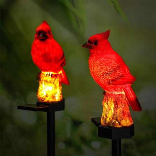 Baquler 2 Pack Cardinal Solar Lights Cardinal Outdoor Decor Red Bird Solar Light Bird Figurine Garden Stake for Pathway Garden Lawn Yard Decorations