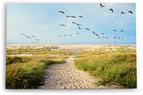 Paul Sinus Wandbild 60x40cm Dekorative Kunst Ostsee Strand Sand Meer Entenflug Horizont