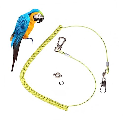 Toyvian Papageien Trainingsleine Elastisches Flugseil mit Kratzfestem Kunststoff und Verstellbares Fluggeschirr mit Krallenring Geeignet für Papageien und Wellensittiche Zufällige Farbe