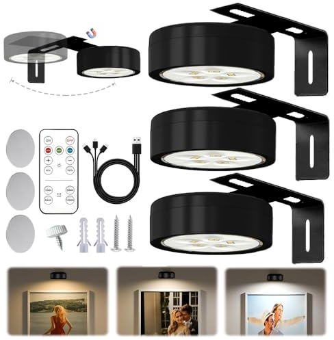RIRIDAMAI 3 Pacchi Luce per Quadri Senza Fili con Telecomando,Magnetic Painting Light,3 Colore Luci per Quadri Senza Fili Ricaricabili con Timer, Luce LED per Quadri a Batteria,perFoto e Ritratti