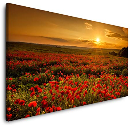 Mohnfelder 120x 60cm Panorama Leinwand Bild XXL Format Wandbilder Wohnzimmer Wohnung Deko Kunstdrucke