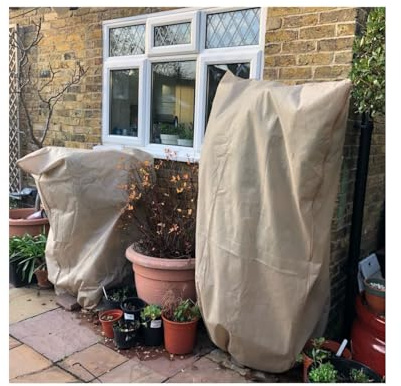 Gardening Naturally Garden Fleece Bag Jacket 70gsm Vanilla Drawstring Heavyweight Pack of 2 1.2m x 1.8m