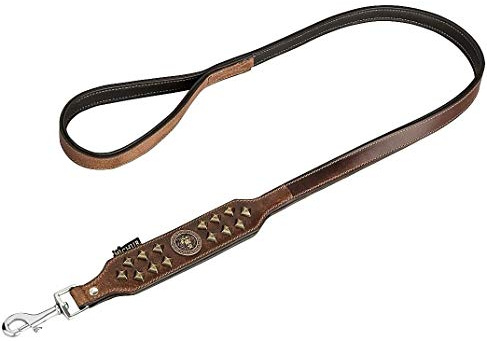 MICHUR® Hundehalsband Leder mit Nieten & Löwenkopf, Braun Gold | Lederhalsband für Hund, Handgefertigt, Weich gepolstert, Flauschig & fellschonend, Verstellbar, Robust & langlebig