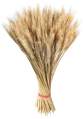 Di Grano Essiccati Per Decorazione, 100 Pezzi Di Fasci Di Grano Essiccati, Mazzo Di Spighe Di Grrano Dorate Naturali, Bouquet Di Fiori Secchi Per Composizione In Stile Rustico, Decorazioni Con