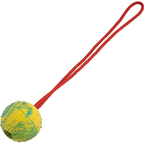 Sprenger Hundespielzeug Gummiball mit Seil I Zerrspielzeug oder Wurfspielzeug mit Schnur, robuster Ball für Hunde, Ø 50 mm