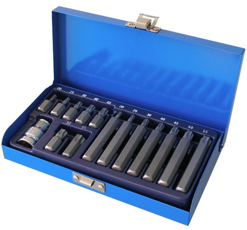 Alkan Torx Bit-Satz T20-T55 15-tlg Steck-Einsätze Metallbox | Steck-Einsätze für T-Profil/Torx-Schrauben T20-T55, Schraubendreher-Bit-Satz übersichtlich in Metallbox
