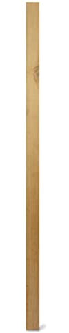 WEIDENPROFI Holzpfosten, Zaunpfosten aus Lärchenholz, vierkant, unbehandelt, ungespitzt - Größe (LxBxH): 9 x 9 x 180 cm