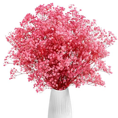 Gipizi Rosa Gypsophila Essiccata, 43cm Naturale Fiori Secchi stabilizzata oltre 3000 Boccioli, Gypsophila Secchi per Matrimonio, Decorazione Della Casa, fai da te e Partito (Rosa)