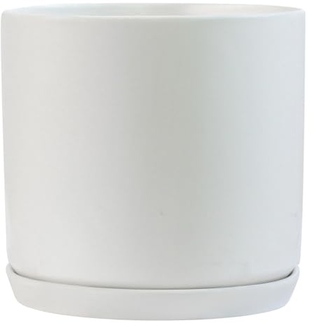 Olly & Rose Antarc - Maceta grande de cerámica blanca mate con platillo, macetas de jardín grandes de 25 cm, macetas de interior para flores y plantas
