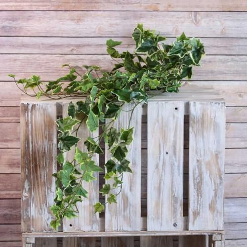 Apac 86cm Artificial Variegated Ivy Bush with 191 leaves, Silk Flower Plant Foliage for Floral Displays, Containers, Hanging Baskets, Home and Garden Decoration, Christmas, Wedding