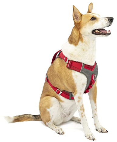 Kurgo Journey Air – Reflektierendes Hundegeschirr für Running, Wandern und Trekking – Reise-Geschirr – Rot, L
