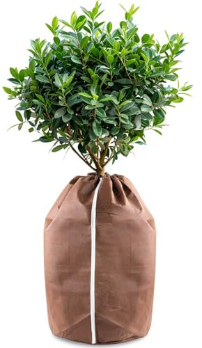 Hydrogarden Winter-Topfschutz SUPERPROTECT XL, Thermo Topfschutz, Winterschutz für Topfpflanzen,Winter Topfschutz mit Zugband - 50 x 45 cm