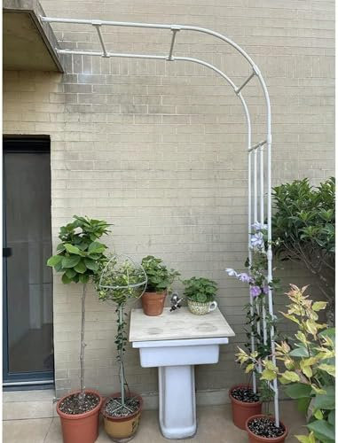 Halbbögen für den Garten, Metallspalier für Rosen, Pflanzen, Laubenbogen, Wandmontage, Pergola, Höhe 2,4 m, wetterbeständiges Harz, robuste Unterstützung (Größe: B 60 x H 240 cm, Farbe: Weiß)