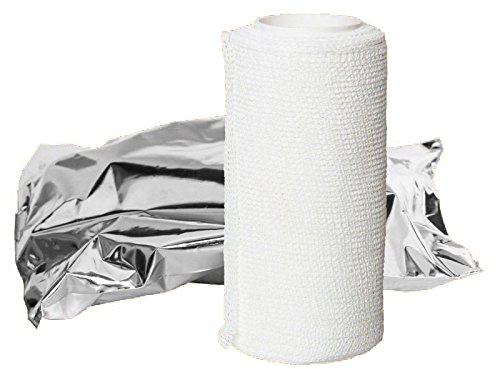 Previzinc Benda Elastica Ossido Di Zinco Cm 10 x 10 Mt