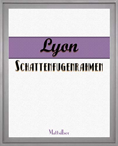 Homedeco-24 Lyon Schattenfugenrahmen 40x120 cm in Silber ohne Verglasung ideal für Canvas Leinwand Bilder Farbwahl
