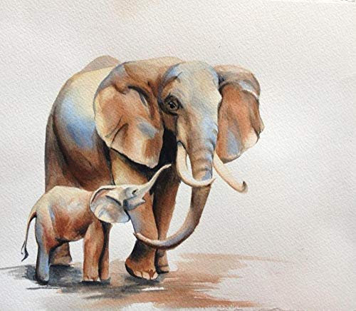 XCSQTYMY Malen Nach Zahlen Erwachsene Bunter Elefant DIY Ölgemälde Faltenfreie Leinwand Hochwertige Acrylfarbe Kunst und Handwerk Wanddekoration