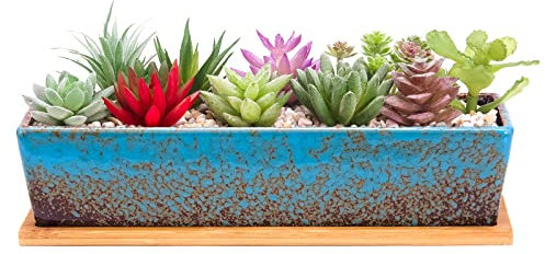 ARTKETTY Vaso per fioriere succulente grande da 12 pollici con vassoio di drenaggio, vasi in ceramica rettangolari lunghi per piante di cactus da interni, finestra per bonsai poco profonda