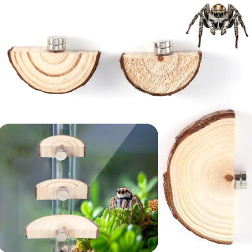 3uds Repisas para Recinto de Arañas Saltadoras, Magnéticas Repisas para Recinto de arañas Saltadoras Hábitat de Arañas Saltadoras Accesorios para Terrarios Reptiles (Arco)