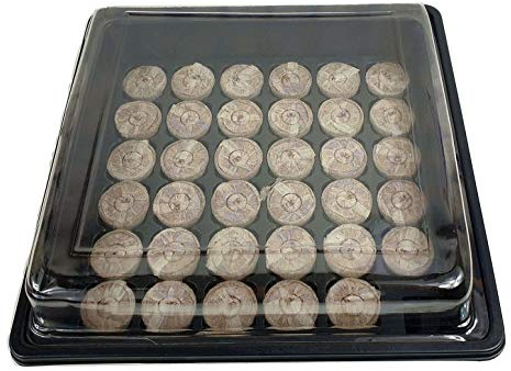 Anzuchtset Anzucht Gewächshaus mit 35 Quelltabs Quelltabletten