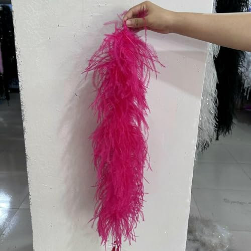 Boa en plumes d'autruche blanches naturelles, 50 cm, 2 à 20 plis, pour travaux manuels, mariage, carnaval, vêtements, couture, plumes 2 à 2 plis
