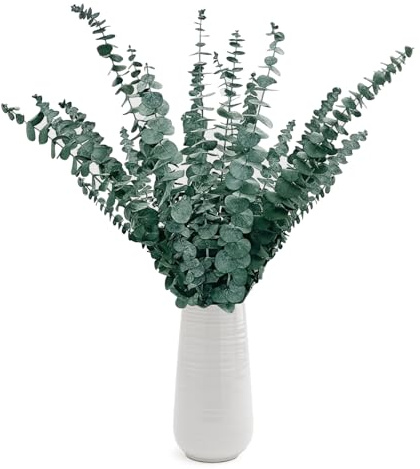 XIATIAN Eucalipto Secado, 24 Pcs Naturales Flores Secas de 43cm