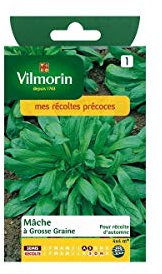 Vilmorin - Sachet graines Mâche à grosse graine