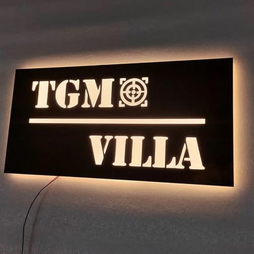 Placa LED personalizada con número de casa luminoso para exteriores, logotipo de negocios, acero inoxidable, retroiluminado, placa de dirección para apartamento, placa de puerta iluminada (30 x 15 cm)